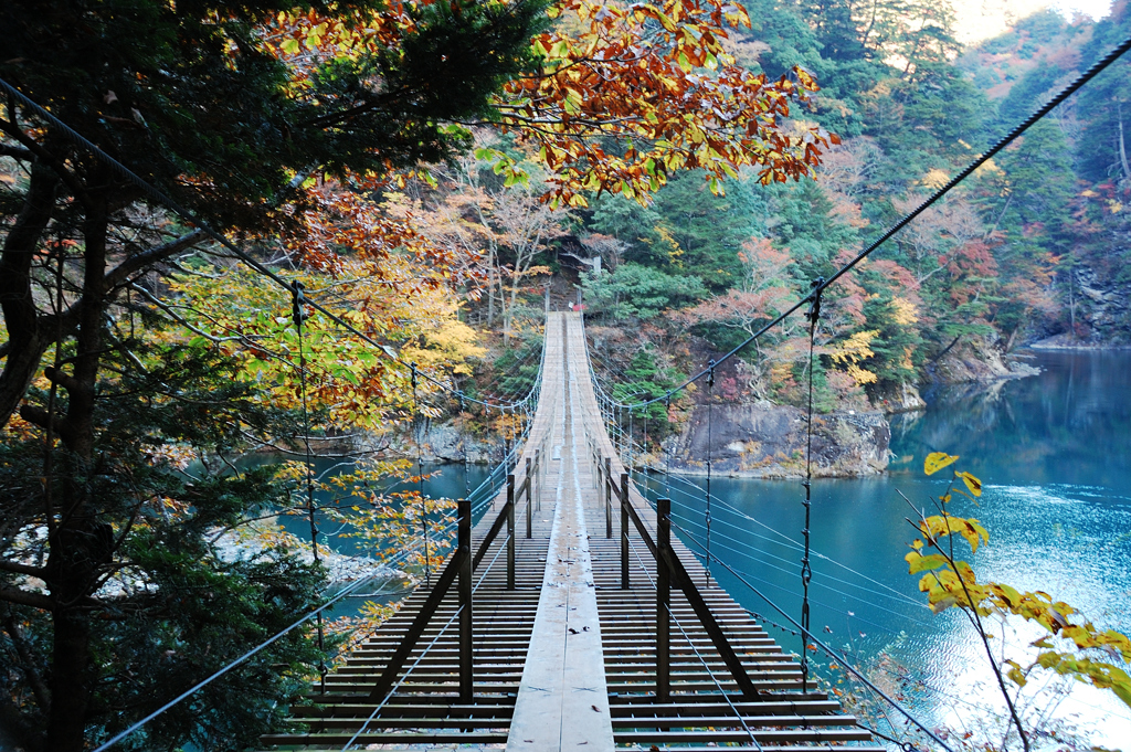 夢の吊り橋 秋