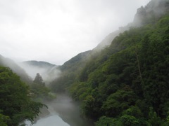 山と川と霧