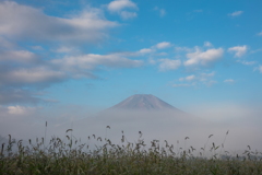 霧中の朝富士