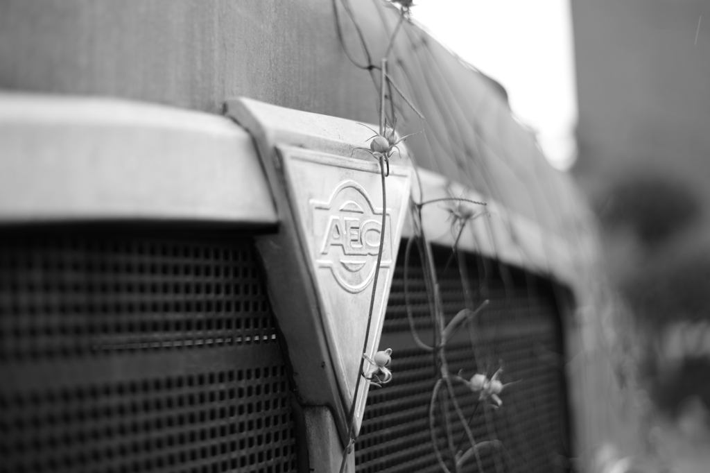 蔓の支えとして