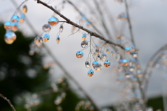 梅雨の前触れ