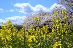 共に去りし春