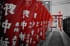 紅
