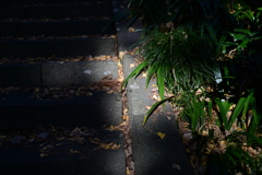 温もり