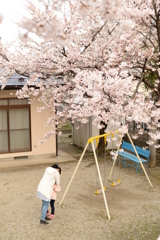 愛、燦々