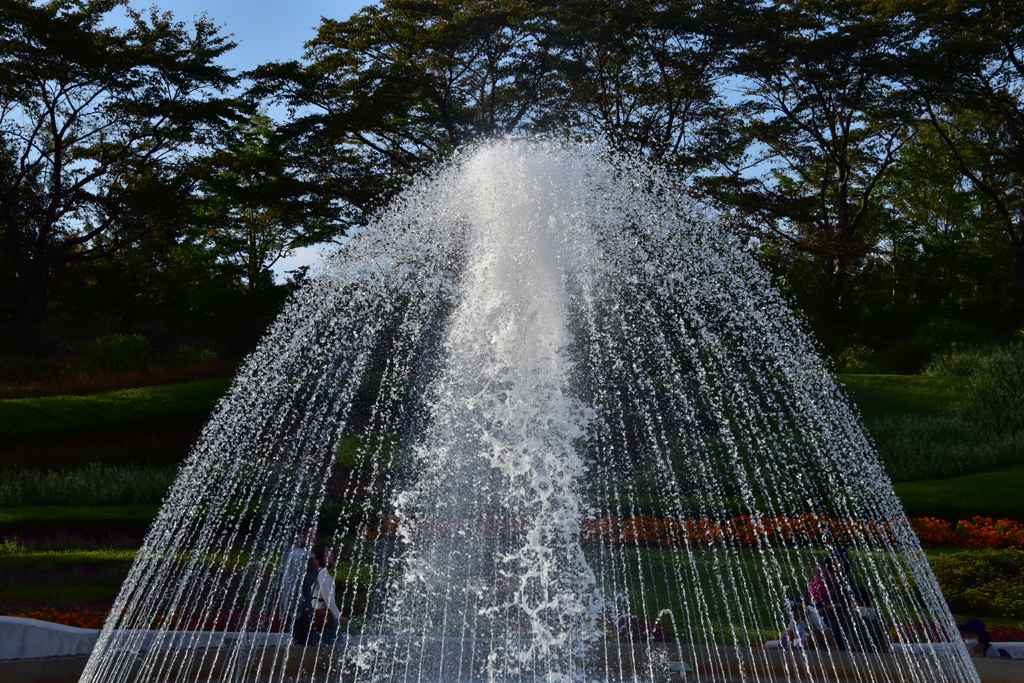 水の姿