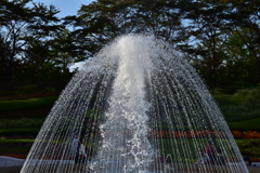 水の姿