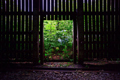 彼岸