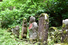 苔の生すまで