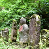苔の生すまで