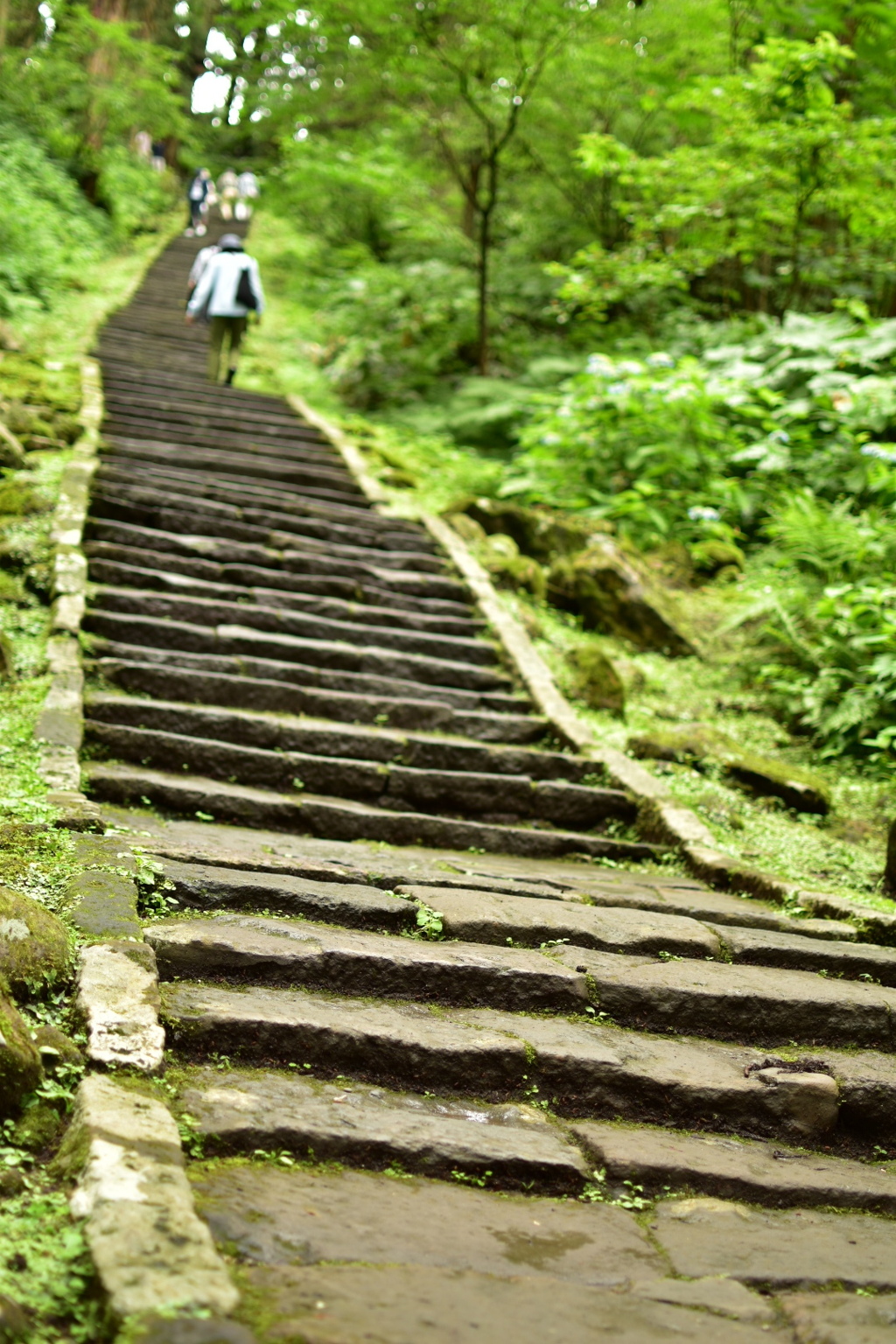 どこまで登る