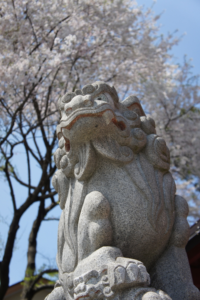 ガオー