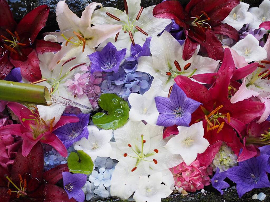 水花
