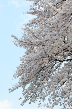 よくある風景
