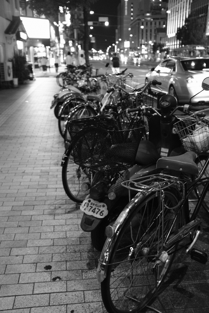 路上に並ぶ自転車の列は、まるで里親を待つ子猫たちのように寂しげだ。