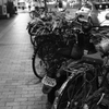 路上に並ぶ自転車の列は、まるで里親を待つ子猫たちのように寂しげだ。