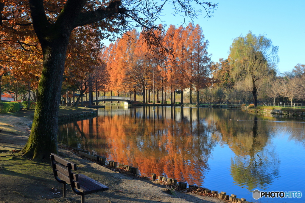 上尾丸山公園
