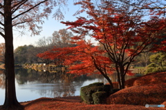 上尾丸山公園②