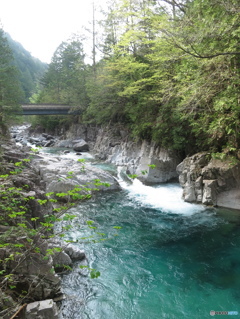 初夏の渓谷