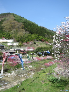 初夏のはじまり