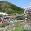 初夏のはじまり