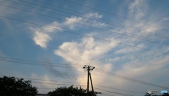 空から羽ばたく