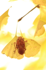 夏の忘れ物2