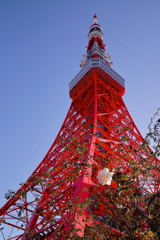 初めての東京タワー