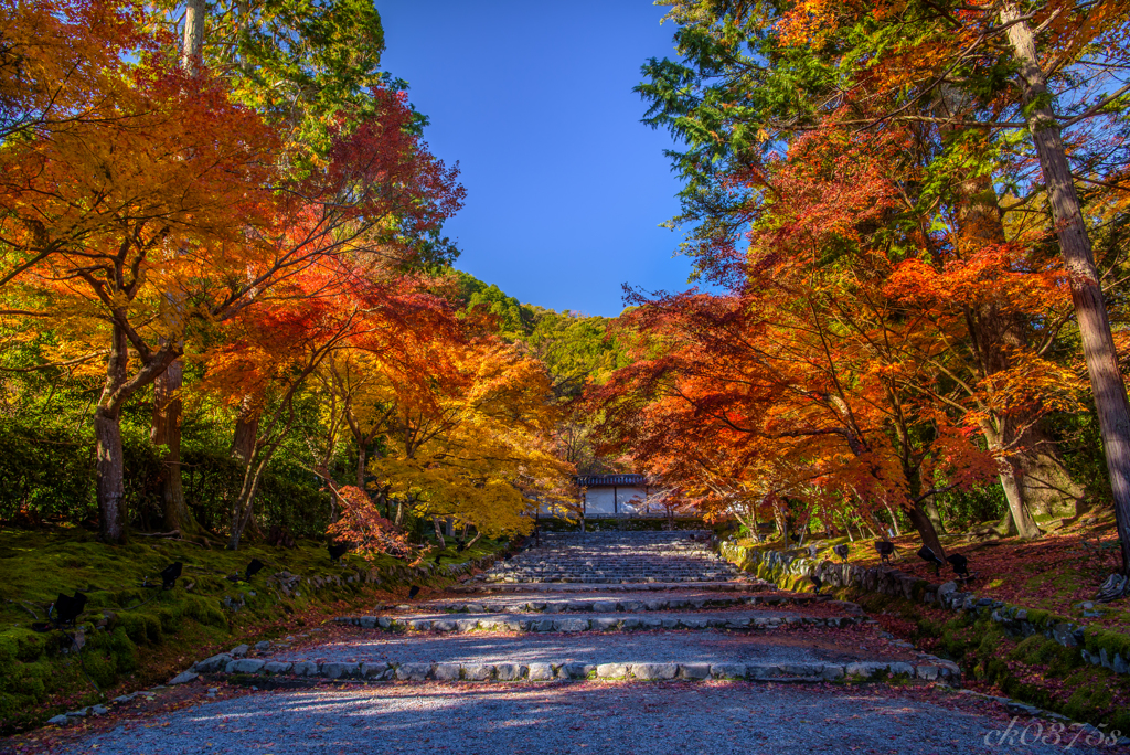 秋染の参道