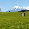 茶畑と富士　その2
