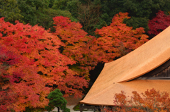 南禅寺