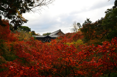 東福寺　