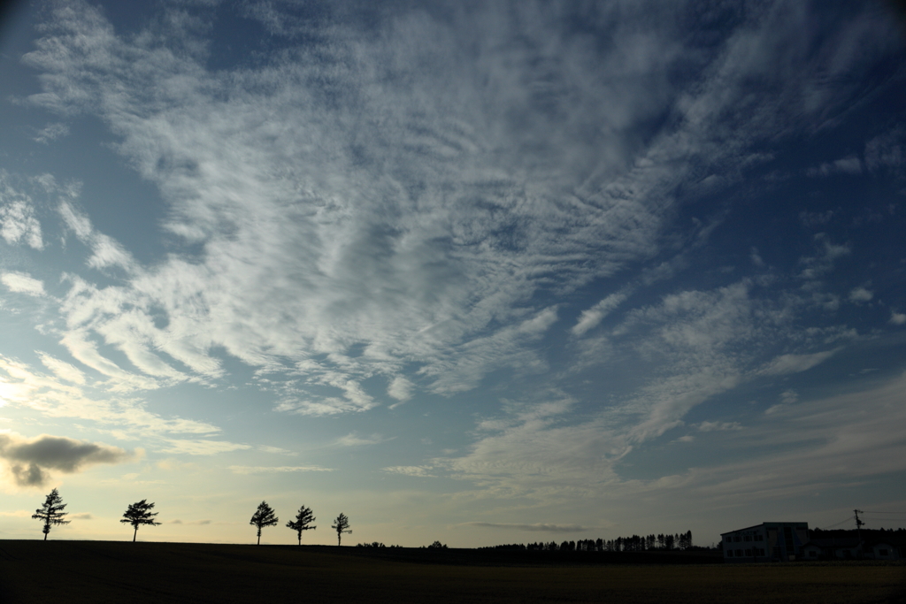 広い空　夕暮れ前