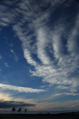 雲の行方