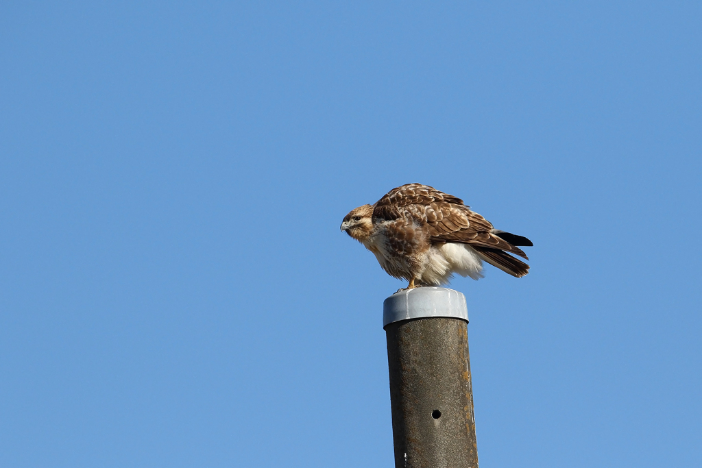 お気に入りの場所