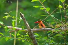 やっと会えました･･･！