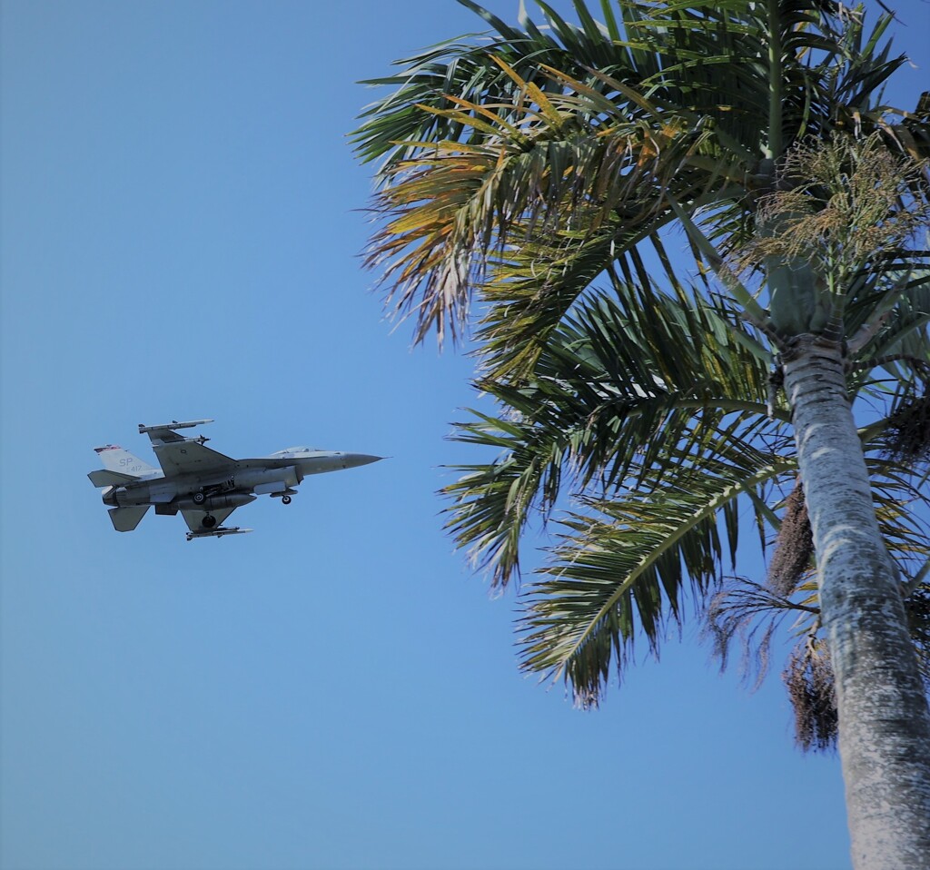 FightingFalcon
