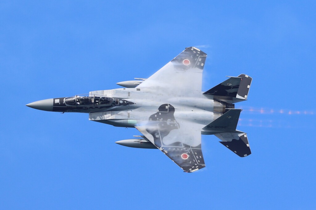 AGGRESSOR
