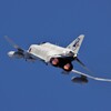 Phantom Forever