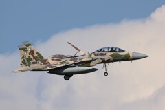 夏のAGR