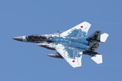 久しぶり