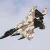 航空祭機動訓練