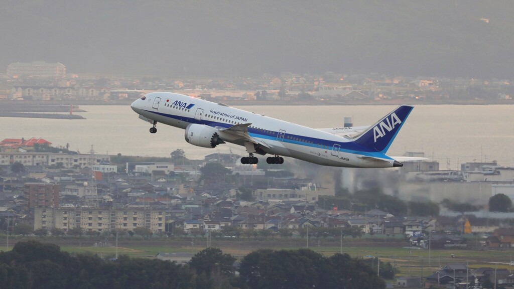 787アンコリ