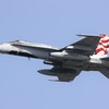 SILVER EAGLES
