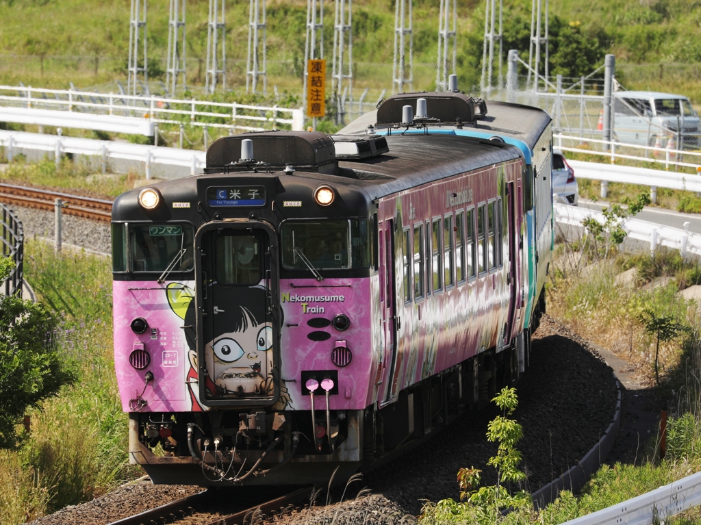 Nekomusume Train