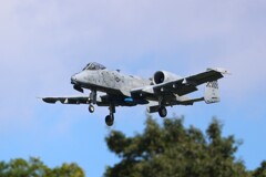 A-10C