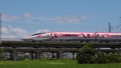 遅ればせながらキティ