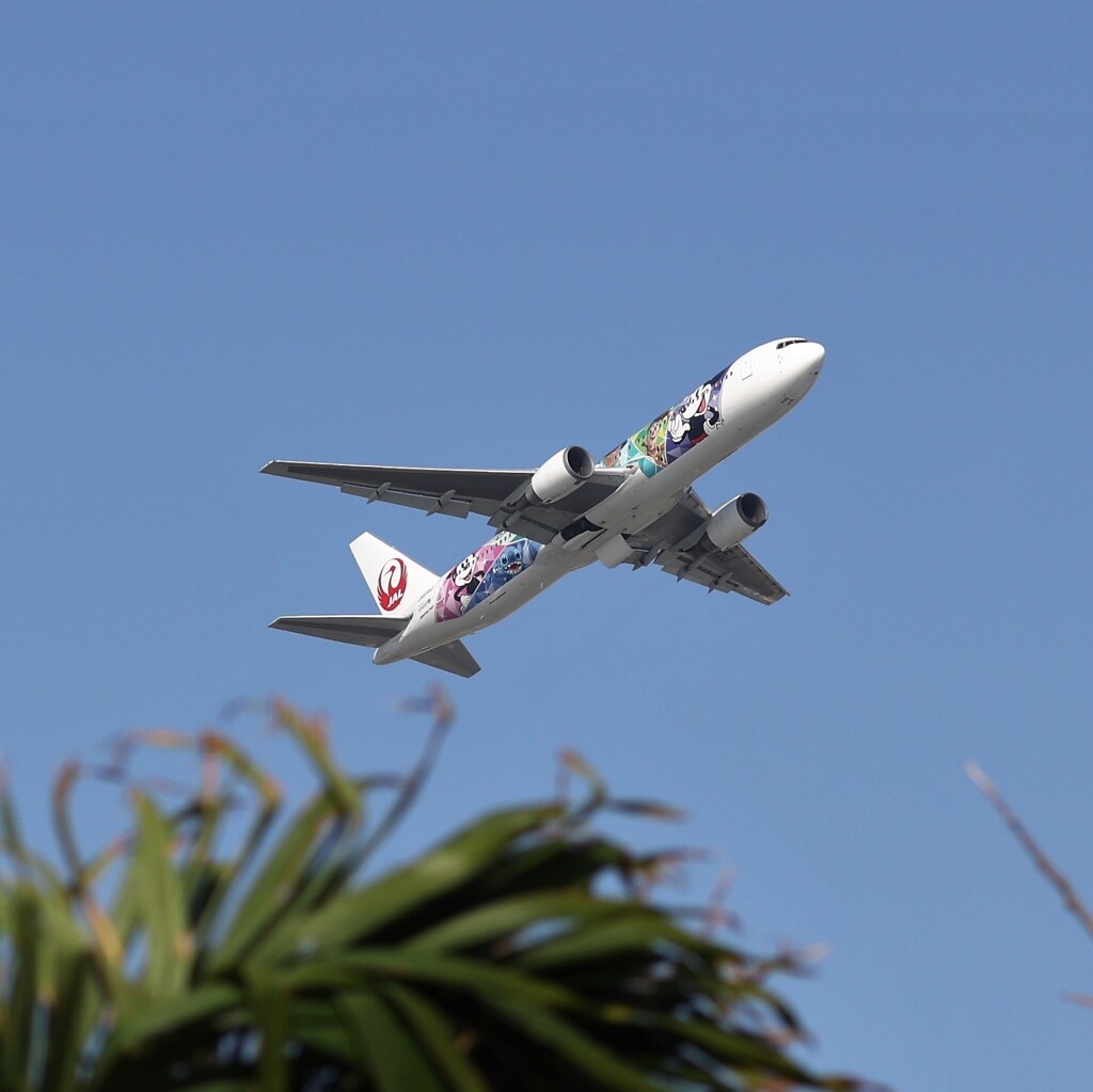 夏は沖縄