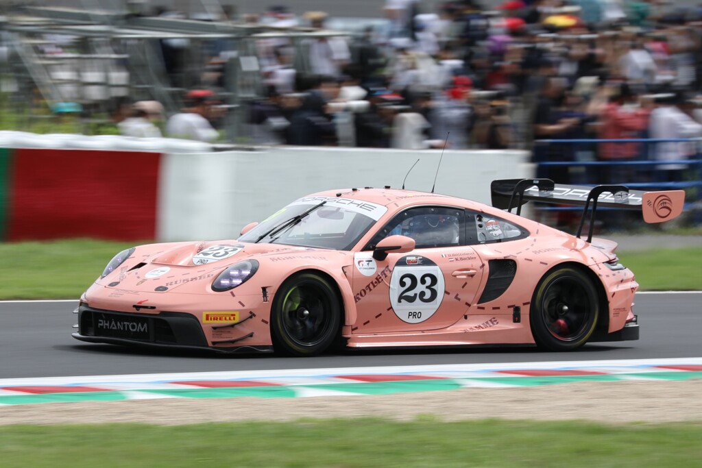 pinkpig