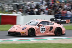 pinkpig